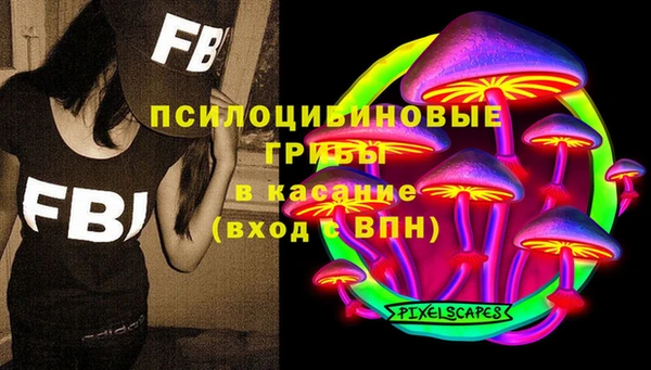 тгк Костерёво