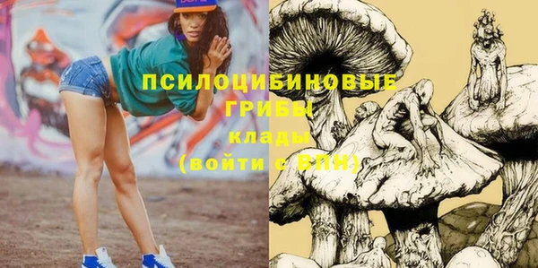 синтетический гашиш Коряжма