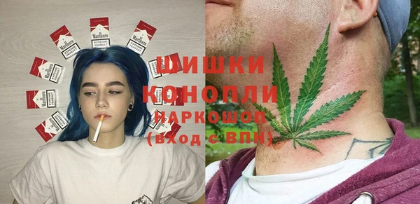 прущая мука Корсаков