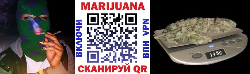 Бошки Шишки планчик Кяхта